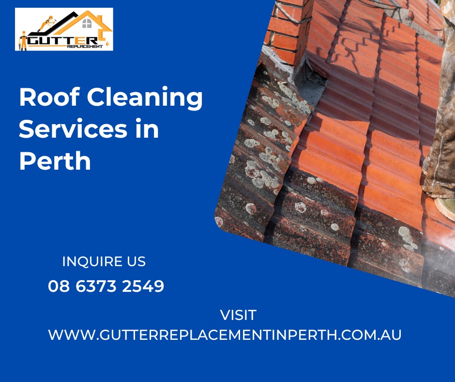 Roof Cleaning in Perth